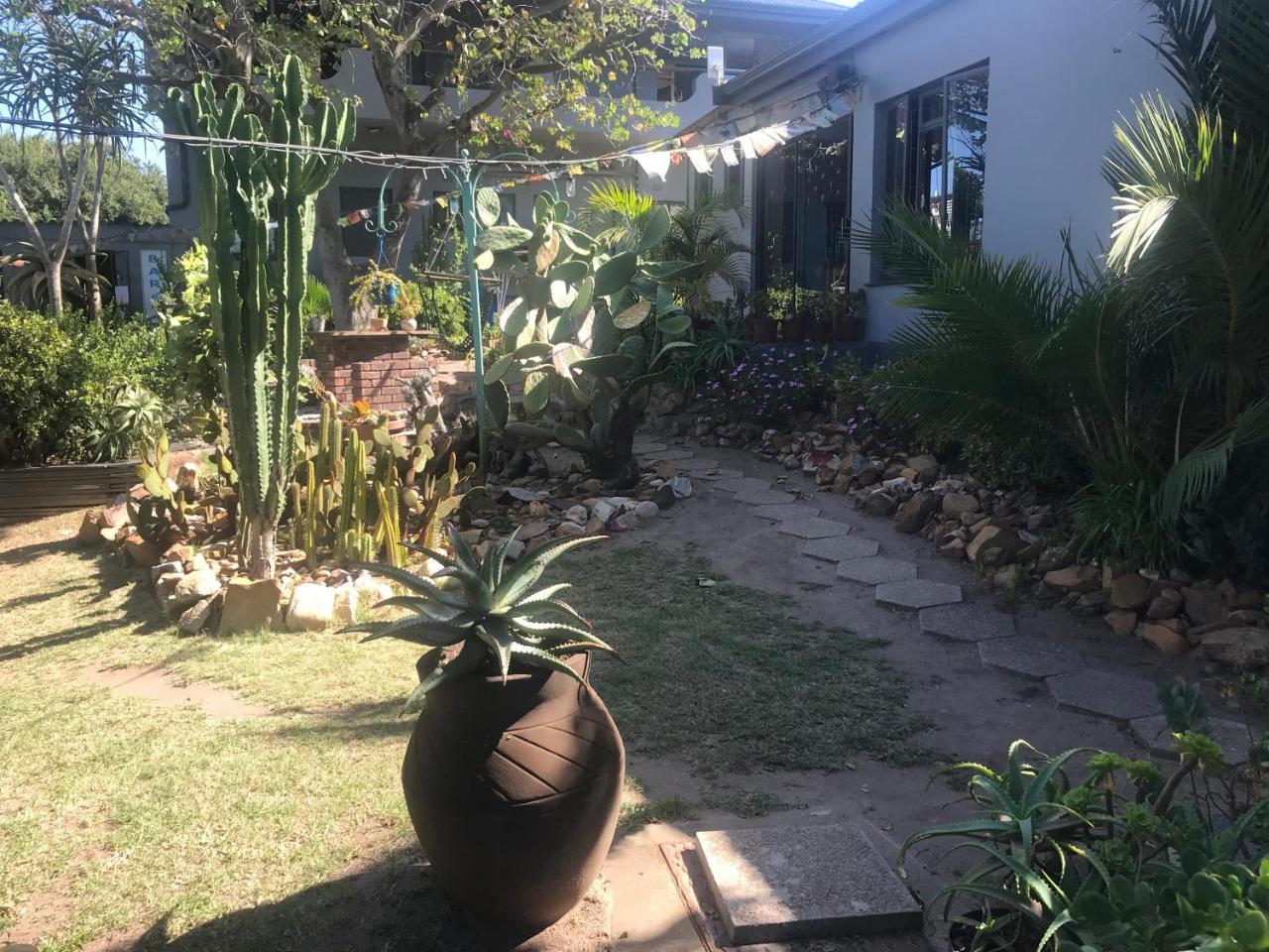 Albergo For Backpackers Plettenberg Bay Esterno foto