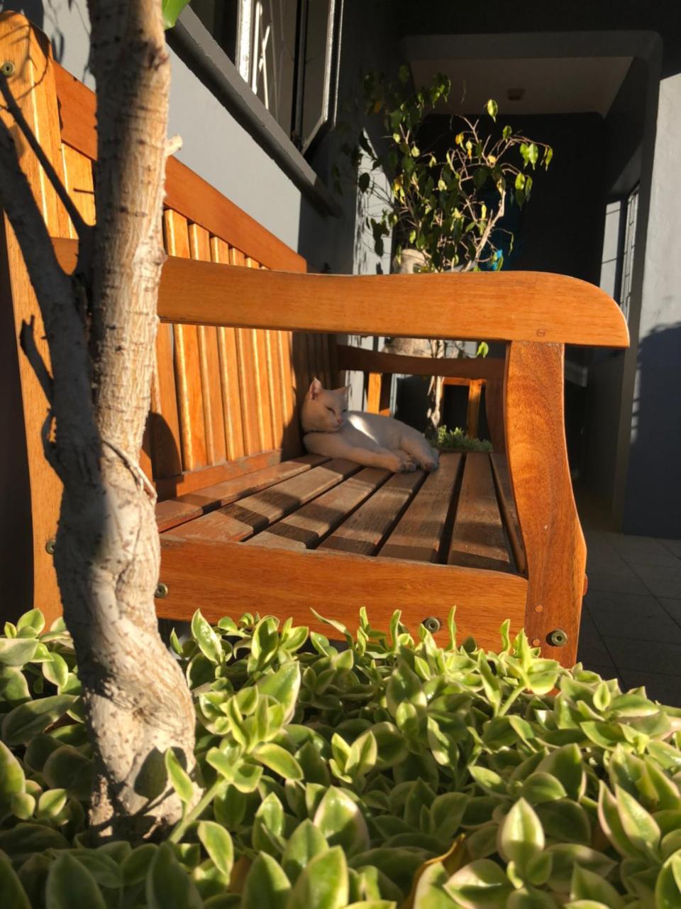 Albergo For Backpackers Plettenberg Bay Esterno foto