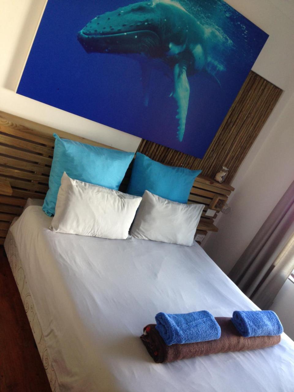 Albergo For Backpackers Plettenberg Bay Esterno foto